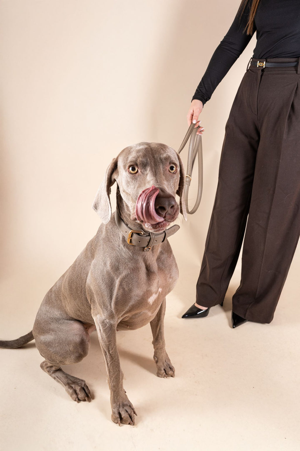 Laisse Classique Grey