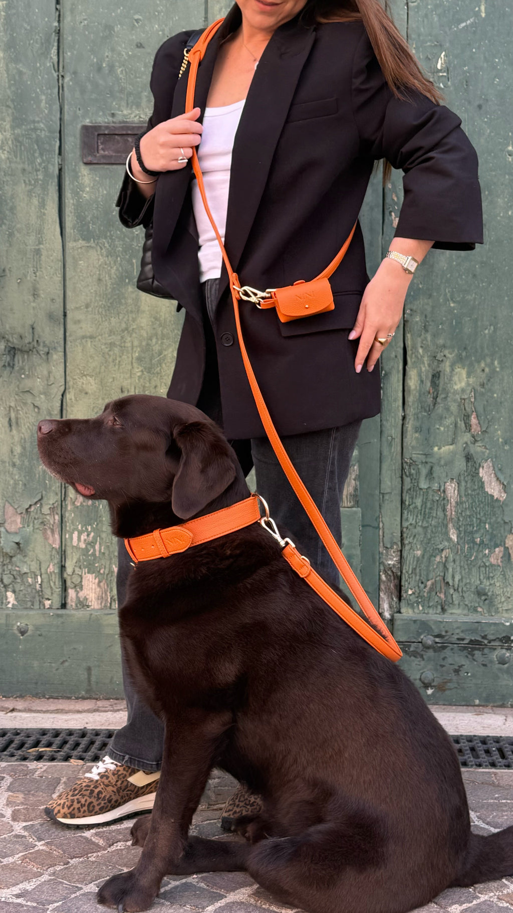 Laisse Multi-positions Orange - Ancienne collection