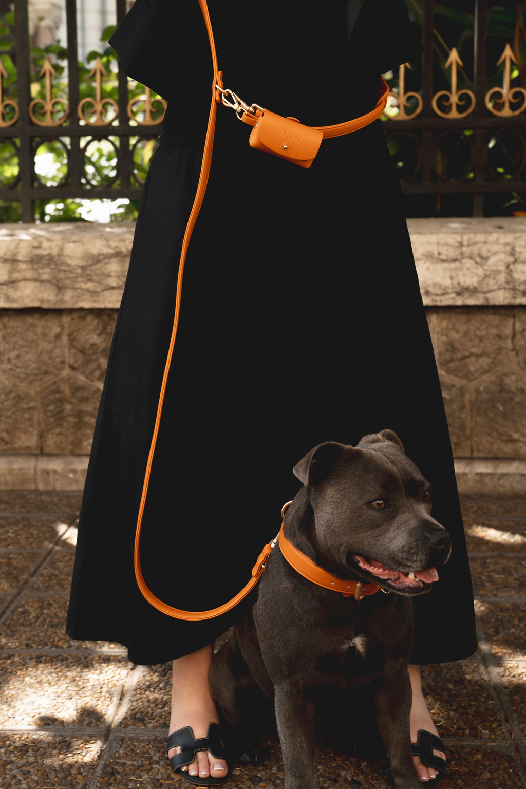 Laisse Multi-positions Orange