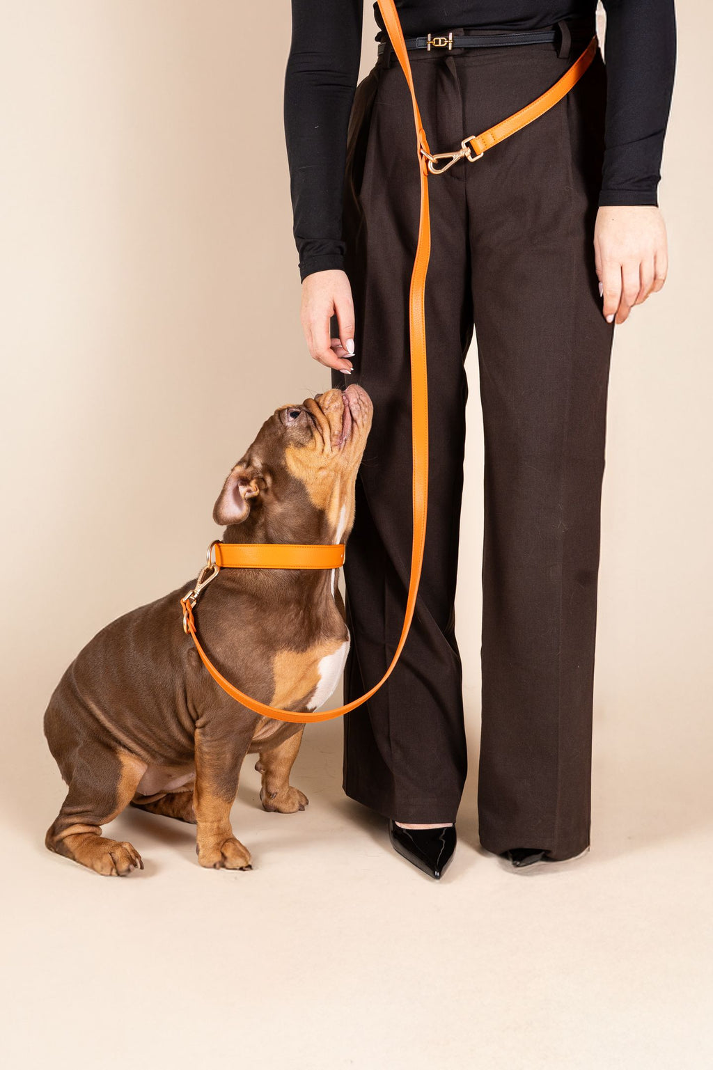 Laisse Mains-libres Orange