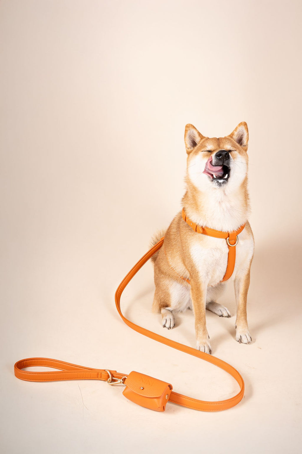 Laisse Classique Orange