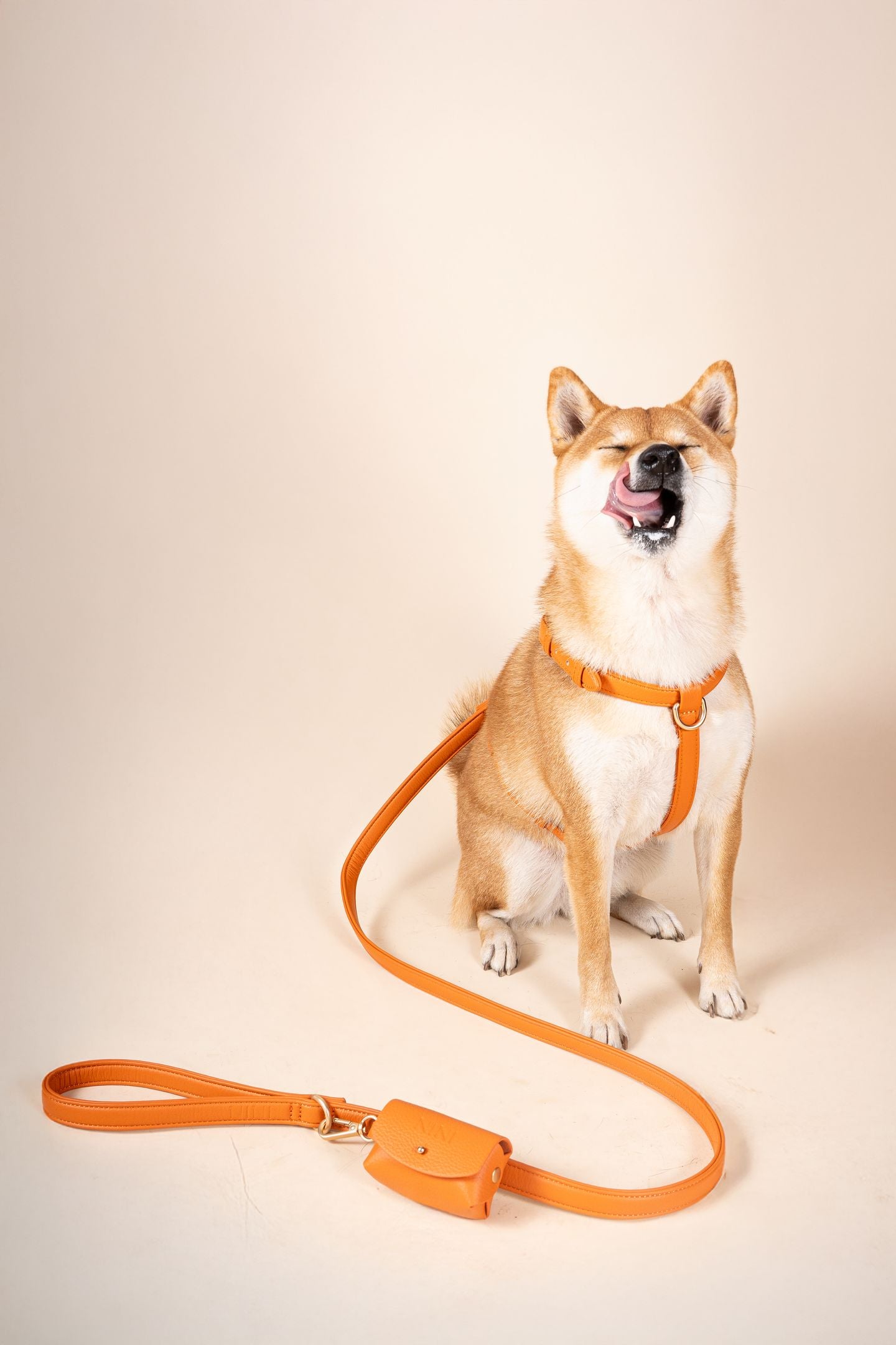 Laisse Classique Orange