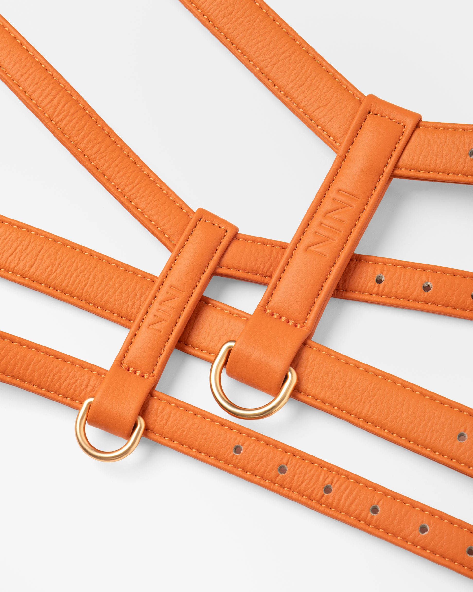 Harnais Orange