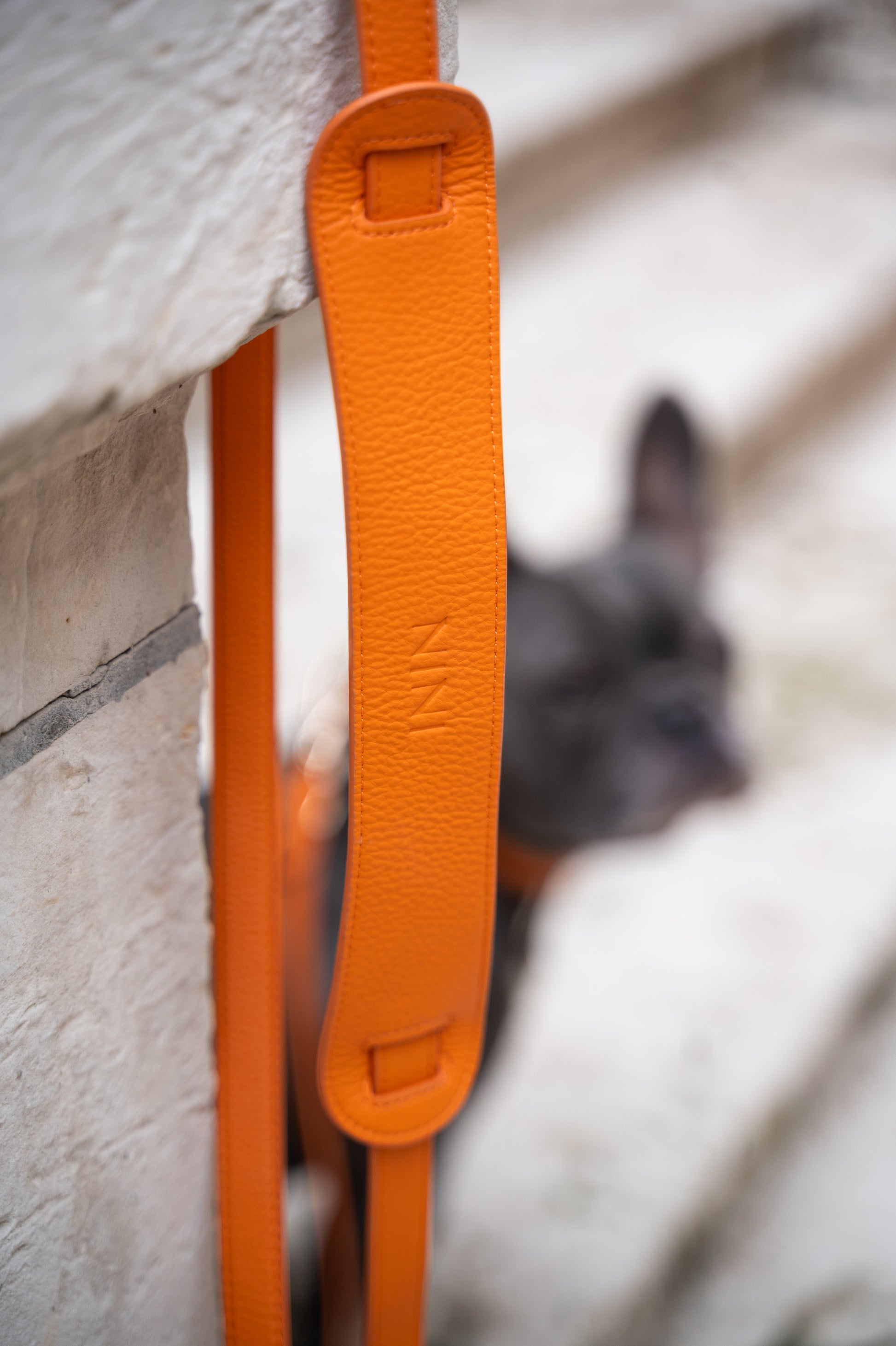 Laisse Mains-libres Orange