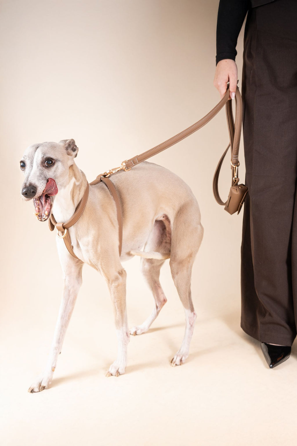 Laisse Classique Beige