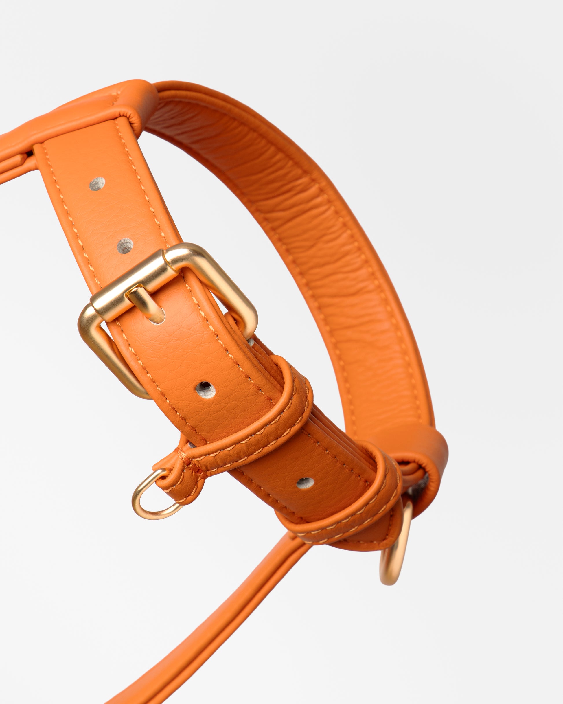 Harnais Orange