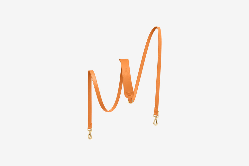 Laisse Mains-libres Orange