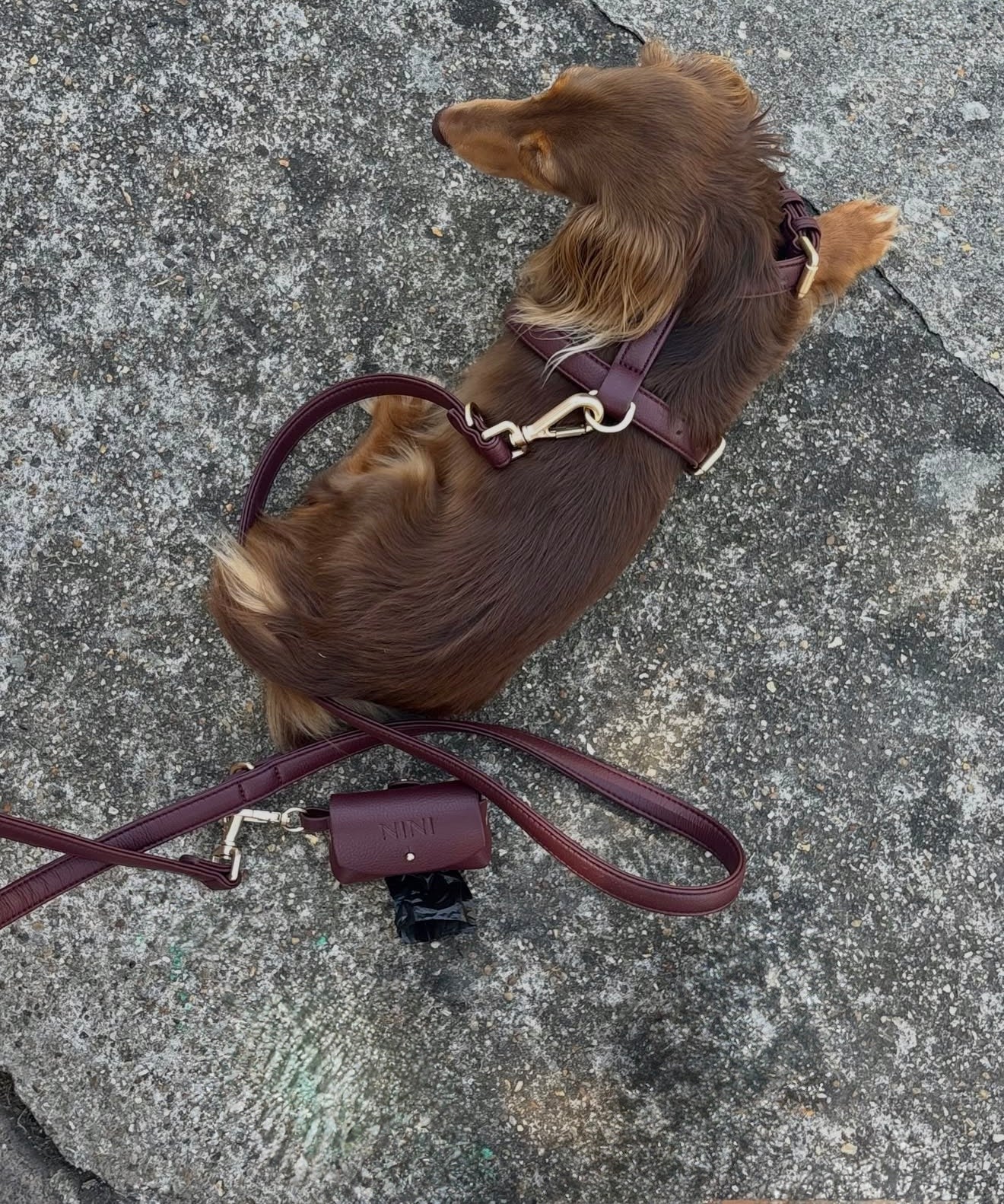 Poop bag Burgundy